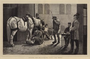 Antes do magistrado, impróprio para o trabalho